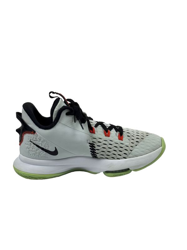 Nike Lebron Witness 5 Purse