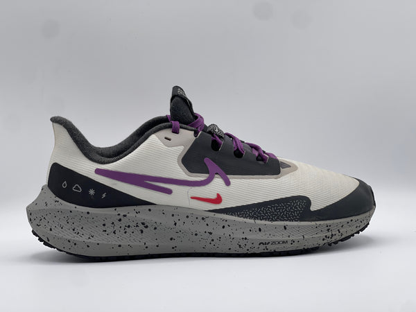 Nike Pegasus 39 Shield