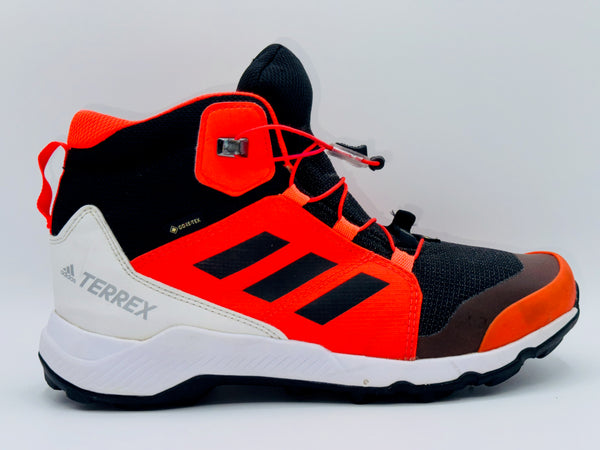 Adidas Terrex Mid Gore Tex Hiking shoes